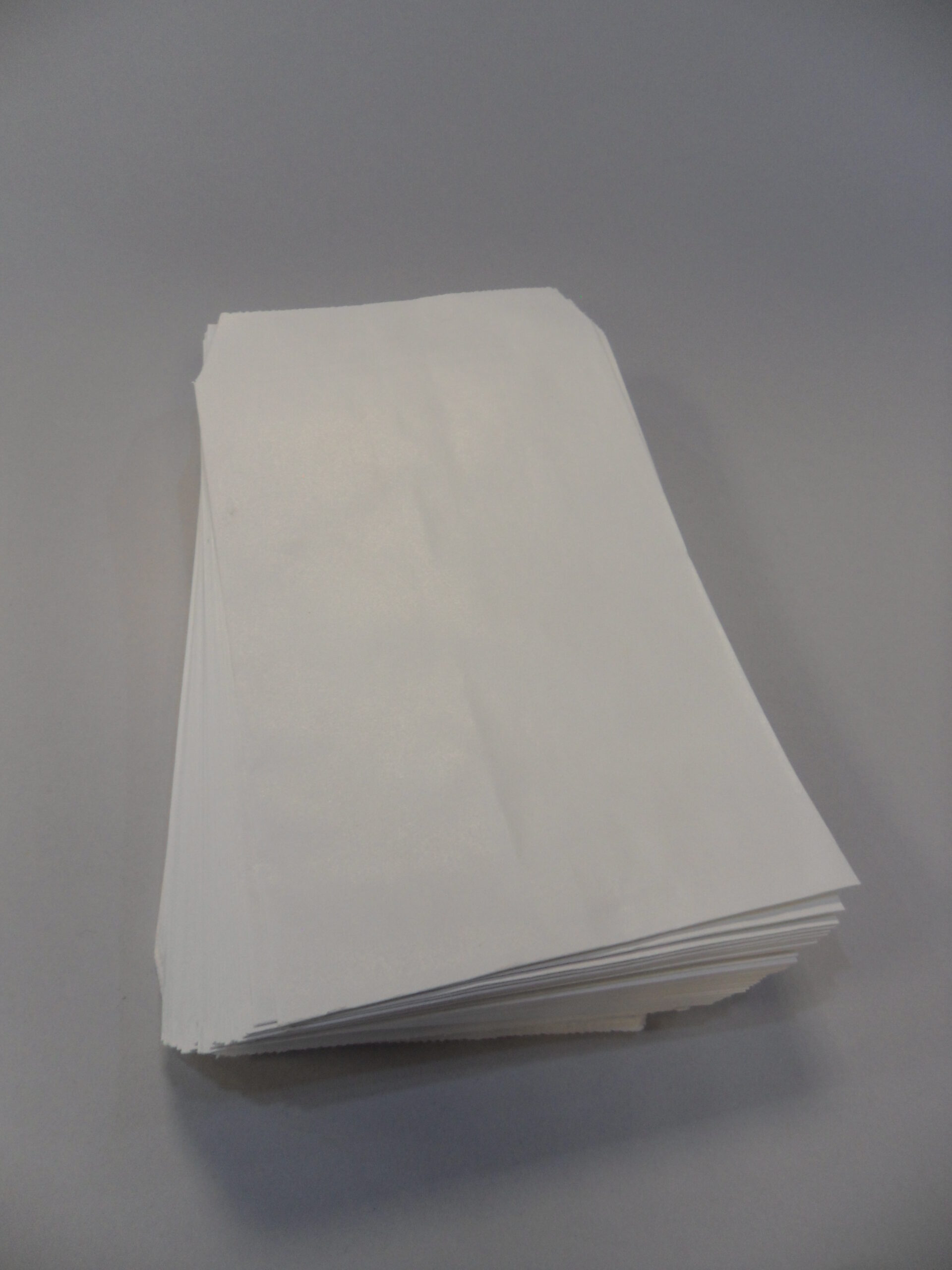 SACCHETTI IN CARTA MIS. 4