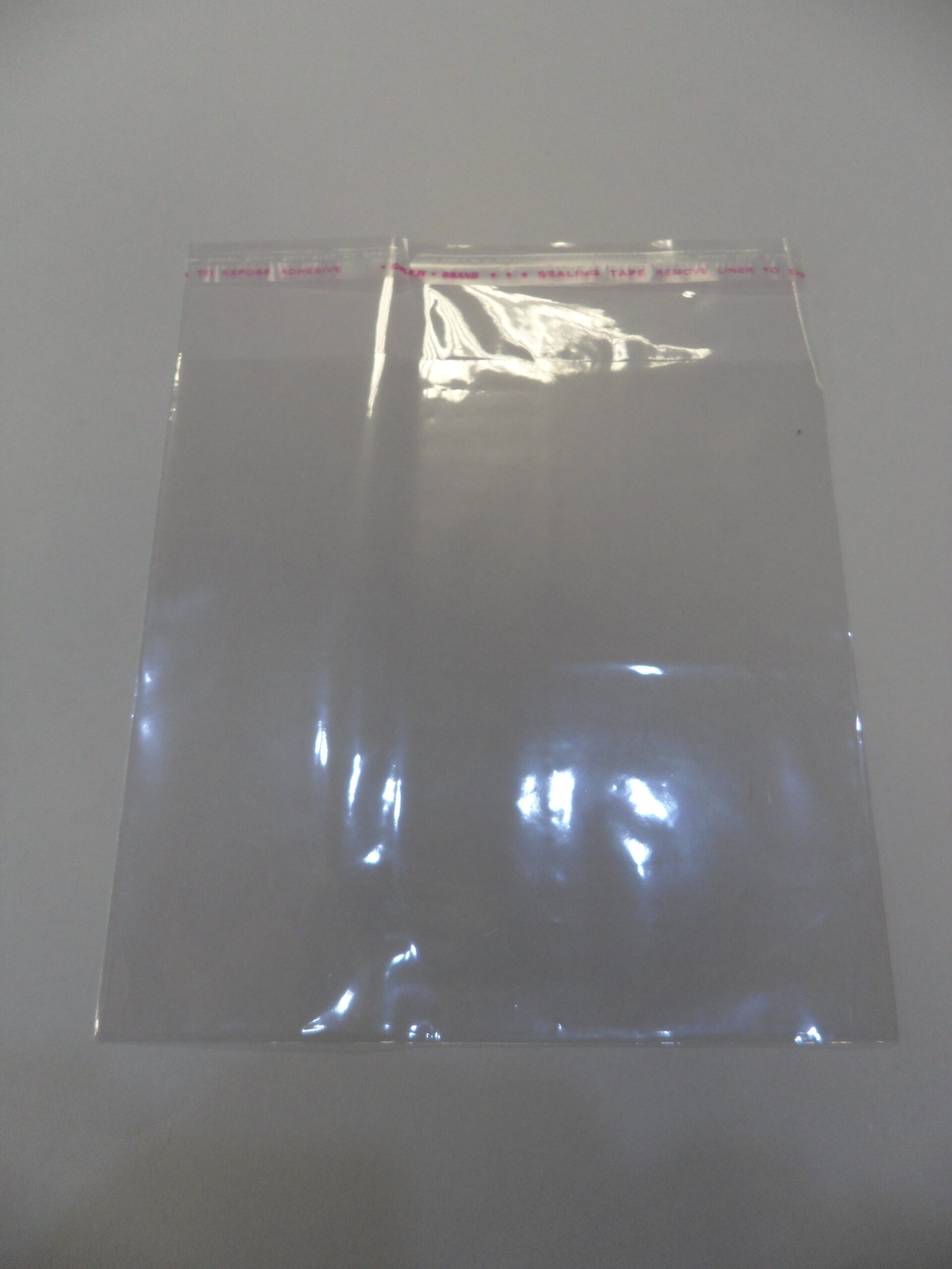 BUSTINA IN PLASTICA CON ADESIVO 6