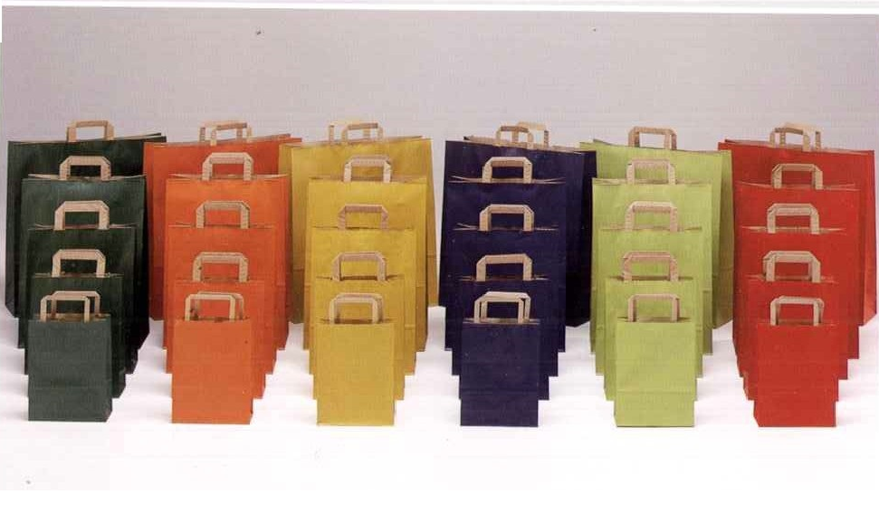 BUSTE IN CARTA MANIGLIA PIATTA