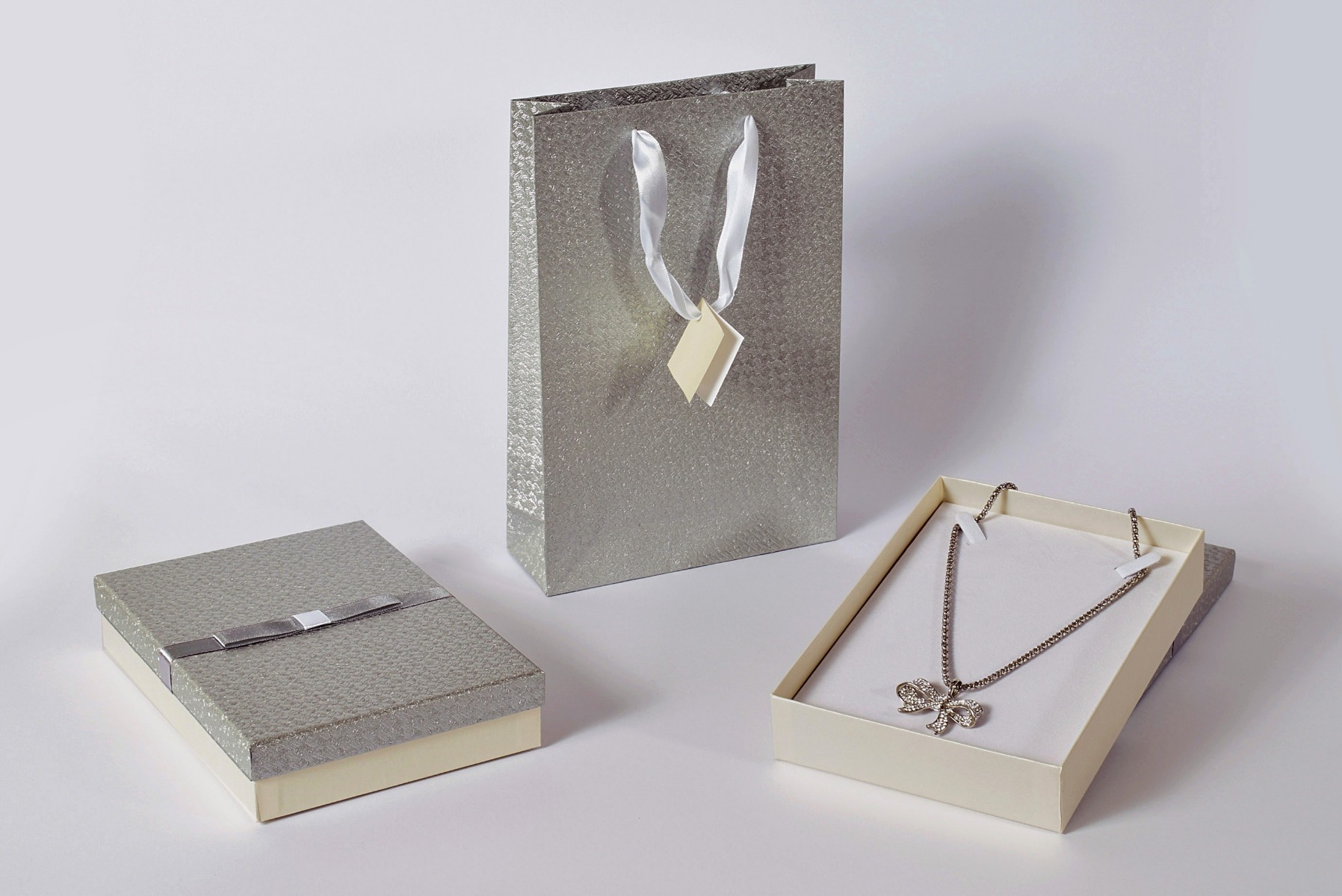 REG ASTUCCIO COLL. 13X19 +BUSTA-0