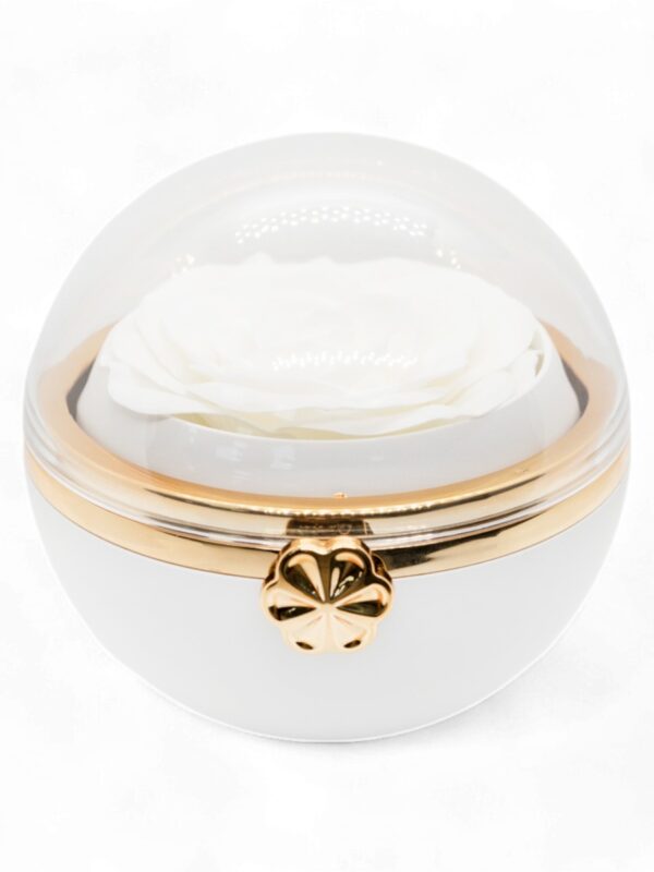 ASTUCCIO SFERA CON ROSA-0